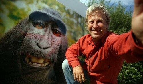 PETA Sues Photographer on Monkey’s Behalf to Give Monkey Copyright