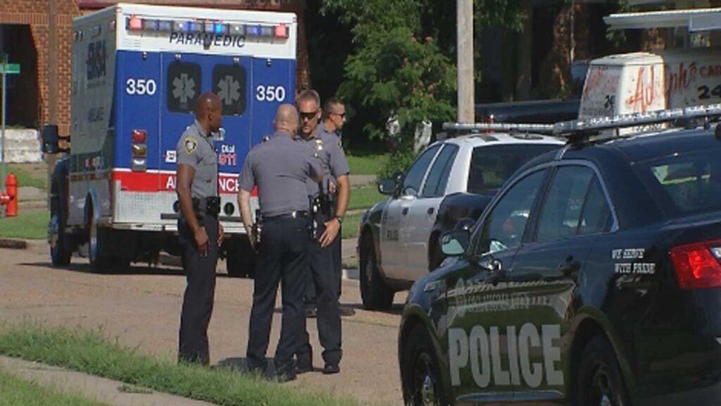 Police say the man they took down repeatedly raped a woman