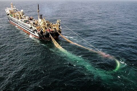 Trawlers are being watched by the Senate photo