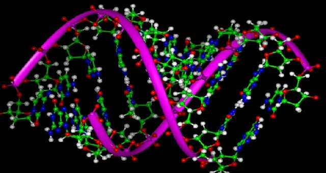 Experts Reveal New System For The Human Genome Editing photo