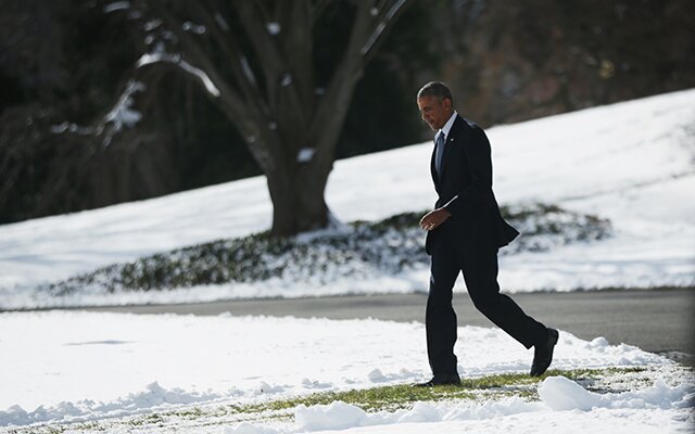 Salmon spawns on Obama in Alaska photo