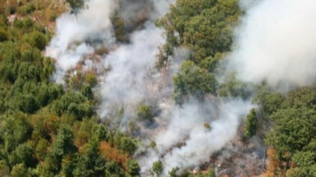 Crews Battle Brush Fire in New Fairfield State Forest photo